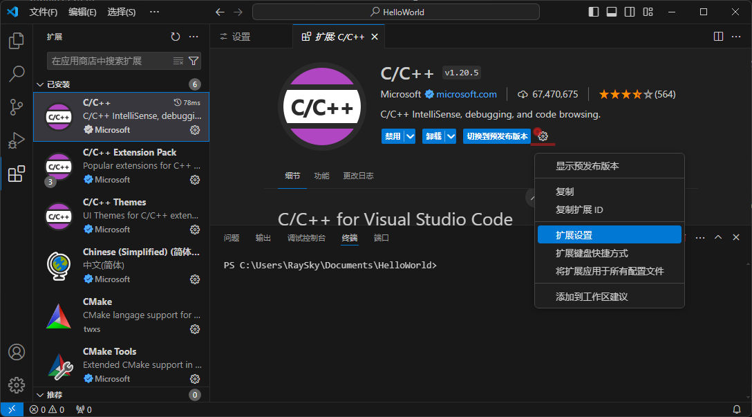 env vscode settings